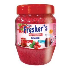 KENT FRESHERS KUŞBURNU 300GR