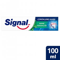 SİGNAL ÇÜRÜKLERE KARŞI NANE FERAHLIĞI 100ML